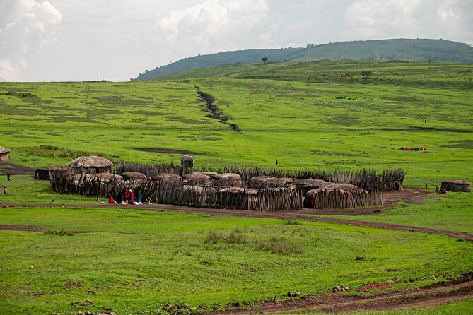 Private 6-Day Safari Tour in the Parks of Northern Tanzania - Meals Included