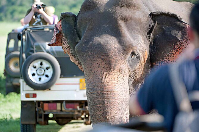 Private 6-Day Sri Lanka Cultural, Nature & Adventure Tour - An In-Depth Look at the Itinerary