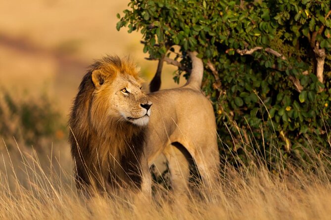 Private 6-Day Wildlife Photography Tour From Nairobi - Good To Know