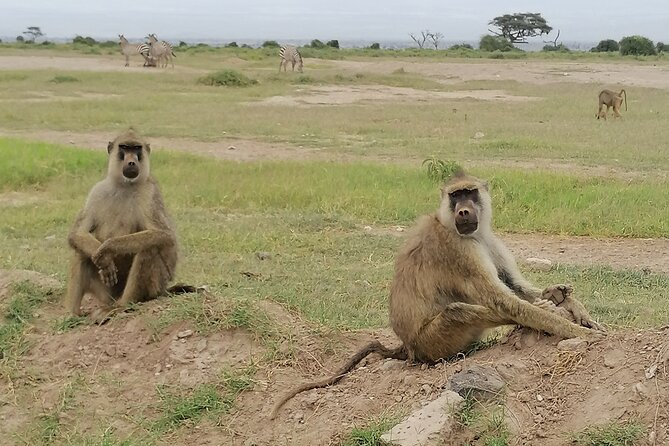 Private 6-Day Wildlife Photography Tour From Nairobi - Additional Notes
