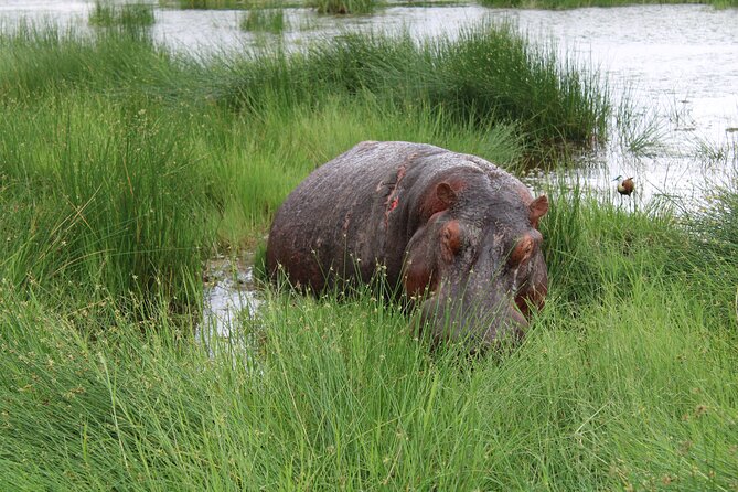 Private 6-Day Wildlife Photography Tour From Nairobi - What To Bring