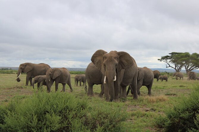 Private 6-Day Wildlife Photography Tour From Nairobi - Cancellation Policy