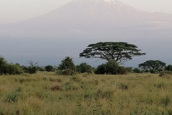 Private 6-Day Wildlife Photography Tour From Nairobi - Contact Information