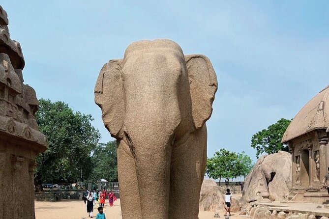 Private 6 Days Exotic Tamilnadu Tour From Chennai - Accommodation and Transportation