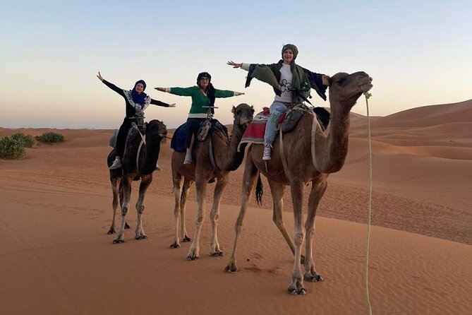 Private 6 Days Luxury Tour From Marrakesh To Sahara Desert - What To Expect