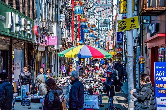 Private 6 Days South Korea Family Tour from Seoul - An In-Depth Look at the Tour Experience