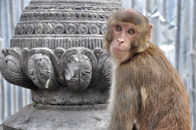 Private 6-Hour Kathmandu City Tour - Cultural and Historical Significance