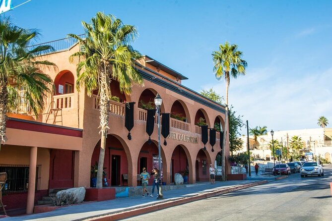 Private 6-Hour Todos Santos Tour From Los Cabos - Deluxe Transportation
