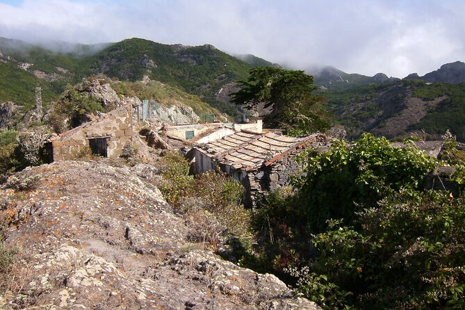Private 6-Hour Tour of La Laguna and Anaga Biosphere Reserve W/ Hotel Pick-Up - Pricing and Reservation Details