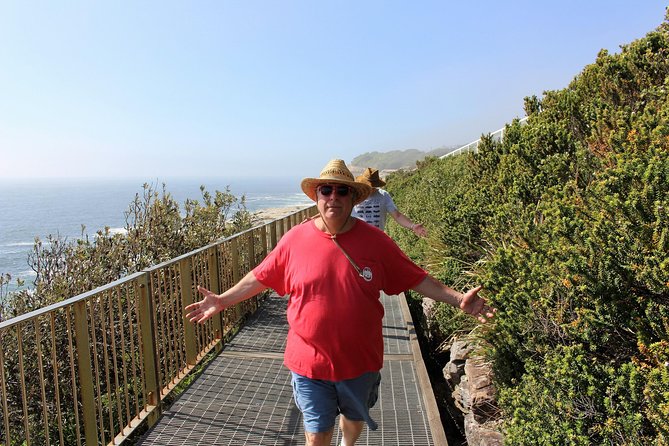 Private 6-Hour Tour of Sydney's Eastern Suburbs, With Bondi - The Sum Up