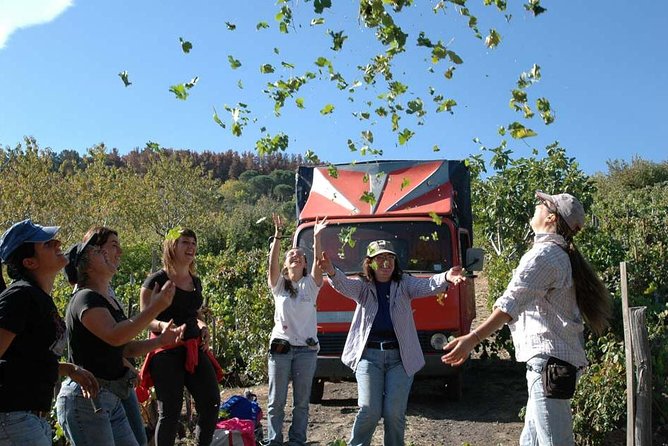 Private 6-Hour Tour of Three Etna Wineries With Food and Wine Tasting - Cancellation Policy