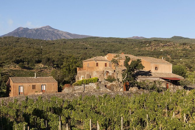 Private 6-Hour Tour of Three Etna Wineries With Food and Wine Tasting - Watch Your Pick up Location and Confirm With Tour Provider