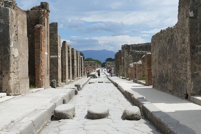 Private 6-Hour Tour to Pompeii and Herculaneum From Naples With Hotel Pick-Up - Tour Details