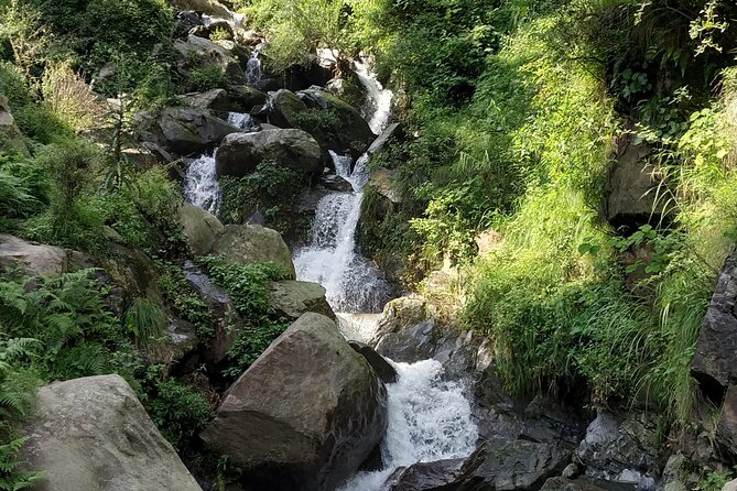 Private 6 Hrs Mcleodganj & Dharamshala City Tour - Itinerary Details