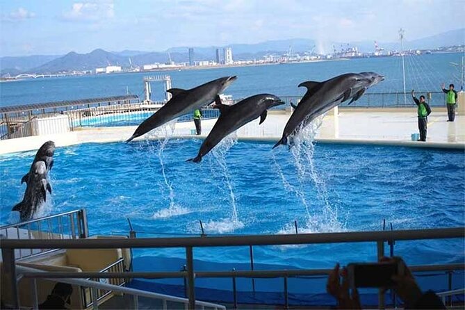 Private 6 Persons Chartered Bus in Fukuoka - Location Details