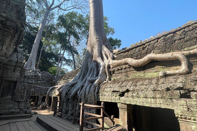 Private 7-Day Journey Through Out Cambodia - Is It Worth the Price?