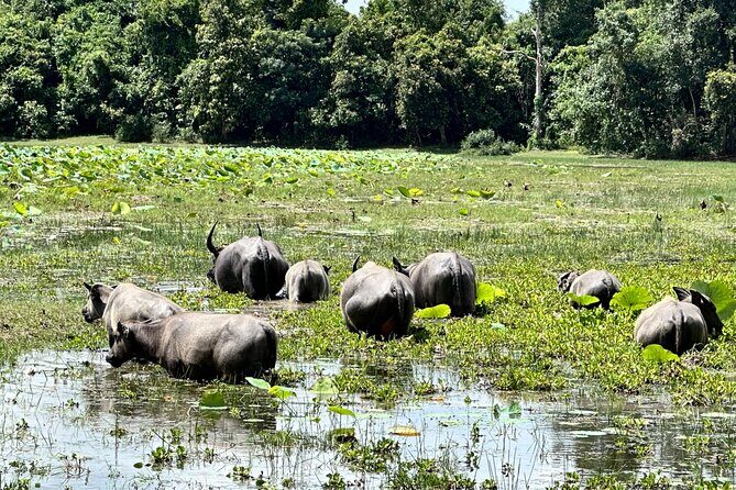 Private 7-Day Journey Through Out Cambodia - FAQs