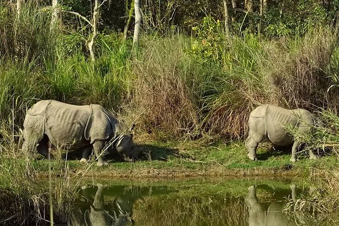 Private 7-Day Nepal Tour: Kathmandu, Chitwan, Pokhara, Lumbini - Tour Highlights