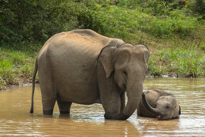 Private 7-Day Tour Around Sri Lanka - Common Questions