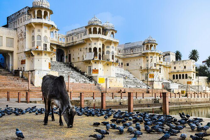 Private 7 Day Tour through Udaipur Chittorgarh Pushkar and Jaipur - The Sum Up: Who is This Tour Best For?