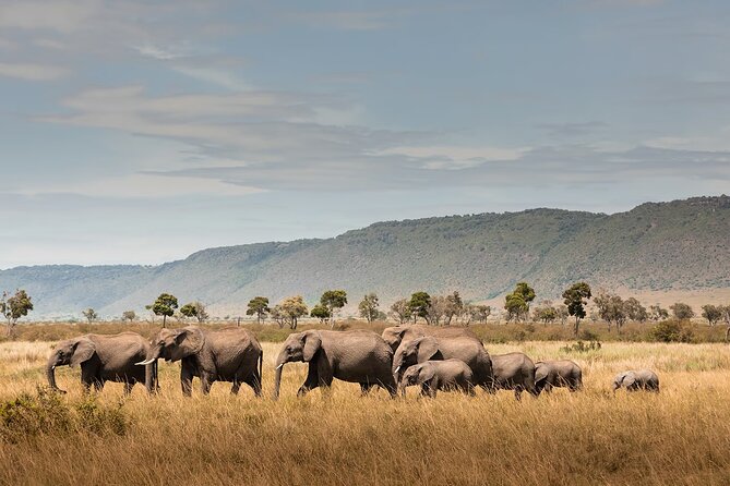 Private 7 Days Classic Safari Tour in Tanzania - Tour Inclusions