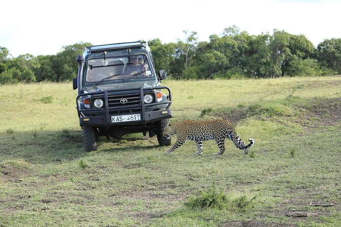 Private 7 Days Kenya Safari Tour With Jeep - Customer Reviews