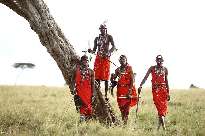 Private 7 Days Mount Kenya, Samburu, Lake Nakuru & Masai Mara Wildlife Safari - Wildlife Sightings