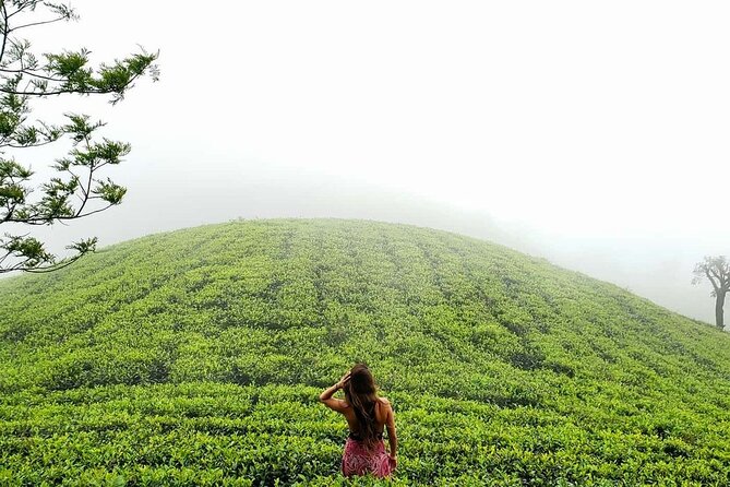 Private 7 Days Sri Lanka Tour With Safari and Cultural Sites - Helpful Resources and Contact Information
