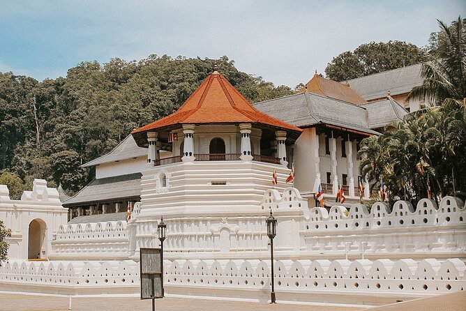 Private 7 Days Sri Lanka Tour With Safari and Cultural Sites - Common Questions