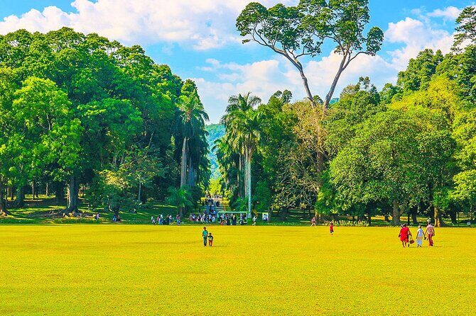 Private 7 Days Sri Lanka Trip with Historical Wonders - An In-Depth Look at the 7-Day Sri Lanka Historical Tour