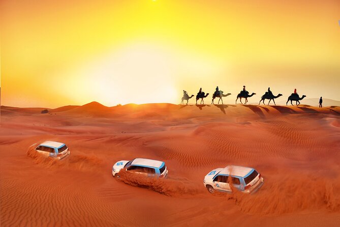 Private 8-Day Dubai Tour With Abu Dhabi and Desert Safari - Questions and Contact Information