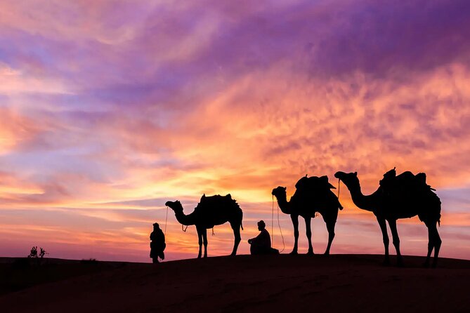 Private 8-Day Dubai Tour With Abu Dhabi and Desert Safari With 5 Star Hotels - Inclusions