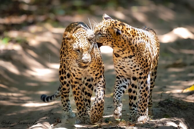 Private 8 Day Tour in Sri Lanka - Inclusions and Exclusions