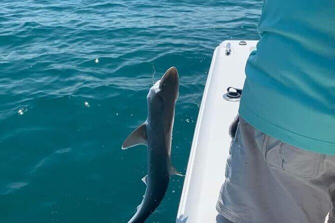 Private 8 hour Fishing Activity with Master Captain Bill - Good To Know