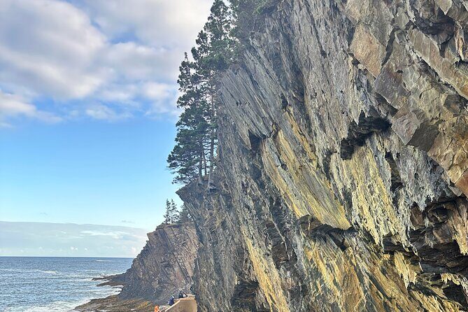 Private 8-Hour Halifax and South Shore Guided Tour - Detailed Review of the Halifax and South Shore Tour