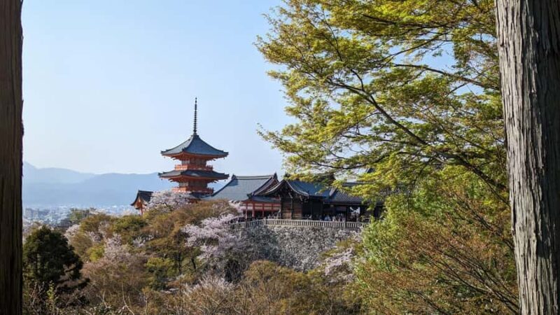 Private 8 hour Tour around Kyoto with Spanish guide - What to Expect from the Kyoto Private Tour