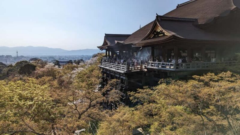 Private 8 hour Tour around Kyoto with Spanish guide - Real Insights from Past Travelers