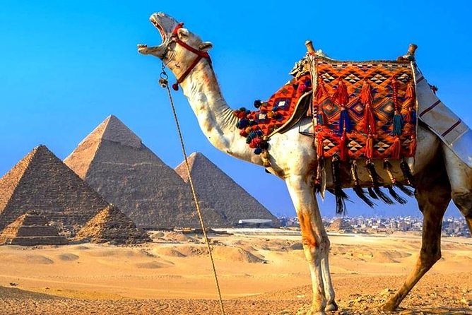 Private 8-Hour Tour Giza Pyramids and National Museum of Egyptian Civilization - Pricing Details