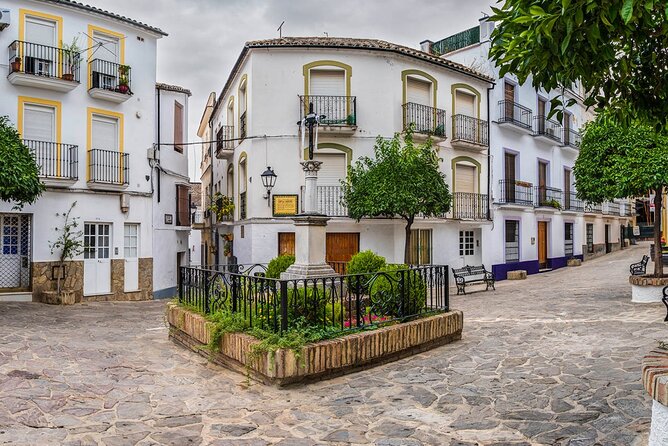 Private 8-Hour Tour of Cadiz and White Villages From Cadiz - Terms and Conditions