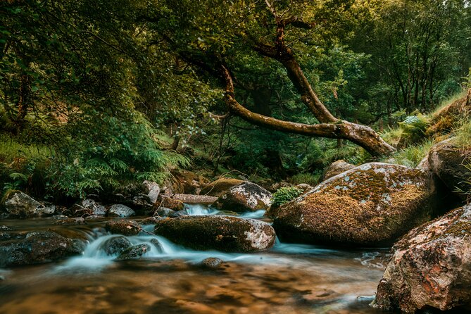 Private 8-Hour Tour to Glendalough and Wicklow From Dublin - Directions to Glendalough and Wicklow