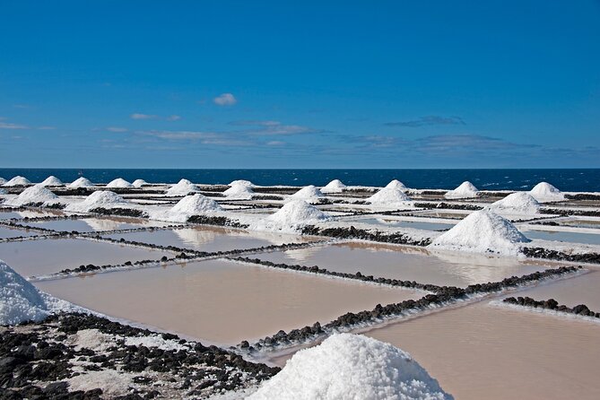 Private 8-Hours Tour to Segesta, Erice, Trapani and Salt Pans From Palermo - Confirmation and Participation Details