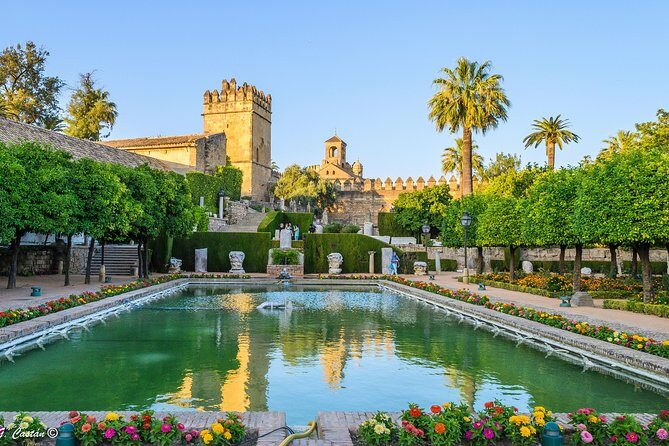 Private 9-Hour Tour to Cordoba from Granada with Hotel pick up & drop off - Getting to Know the Tour in Detail