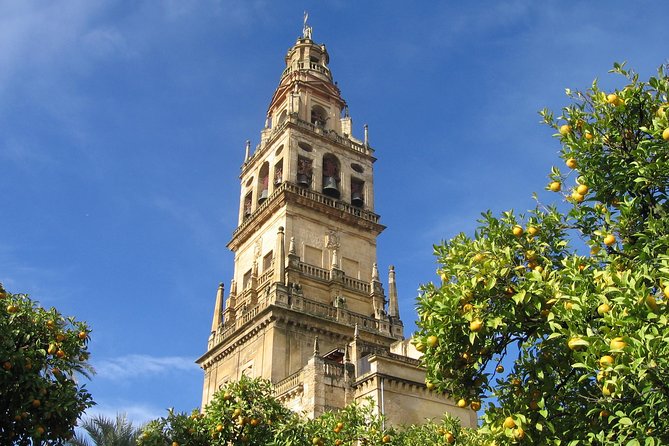 Private 9-Hour Tour to Cordoba From Granada With Hotel Pick up & Drop off - Tour Exclusions