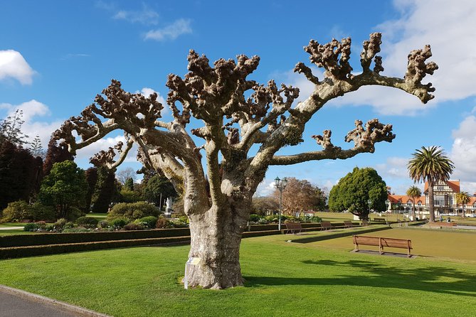 Private 90-Minute Outdoor Scavenger Hunt Adventure, Rotorua - Common Questions