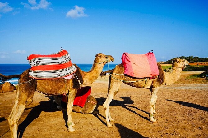 Private Above and Beyond Tour in Tangier - Guidelines for Rescheduling or Modifying Bookings