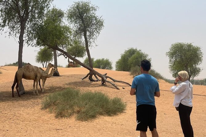 Private Abu Dhabi City Tour - Additional Information