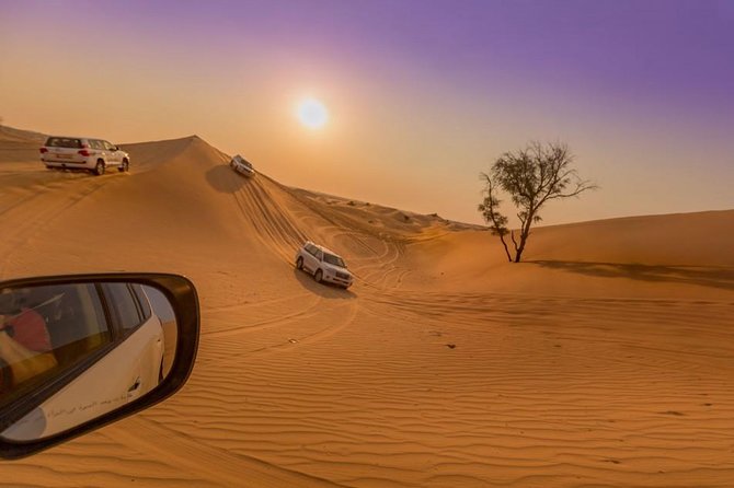 Private Abu Dhabi Desert Safari From Dubai With Hot BBQ Dinner - Private Tour: Exclusive Experience in Abu Dhabi