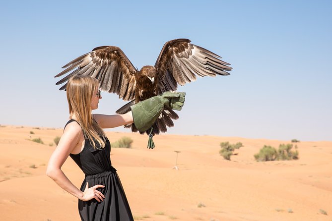 Private Abu Dhabi Evening Desert Safari (Exclusive) - Pickup and Transportation
