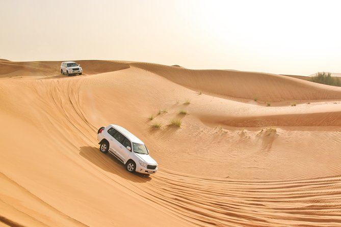 Private Abu Dhabi Evening Desert Safari (Exclusive) - Traveler Feedback