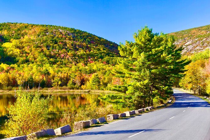 Private Acadia & Mount Desert Island Tour (full day, six hours) - Why This Tour Stands Out